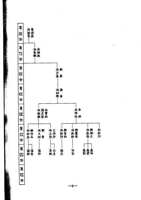 林義守家族表|【林義守家族表】揭開林義守家族的神秘面紗，不容錯過的林義守。